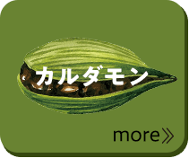 カルダモン more