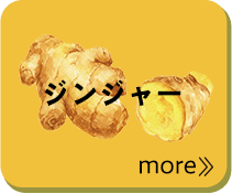ジンジャー more