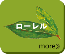ローレル more