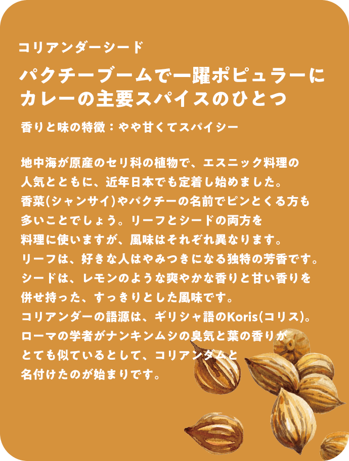コリアンダーシード パクチーブームで一躍ポピュラーに カレーの主要スパイスのひとつ 香りと味の特徴：やや甘くてスパイシー 地中海が原産のセリ科の植物で、エスニック料理の人気とともに、近年日本でも定着し始めました。香菜(シャンサイ)やパクチーの名前でピンとくる方も多いことでしょう。リーフとシードの両方を料理に使いますが、風味はそれぞれ異なります。リーフは、好きな人はやみつきになる独特の芳香です。シードは、レモンのような爽やかな香りと甘い香りを併せ持った、すっきりとした風味です。コリアンダーの語源は、ギリシャ語のKoris(コリス)。ローマの学者がナンキンムシの臭気と葉の香りがとても似ているとして、コリアンダムと名付けたのが始まりです。