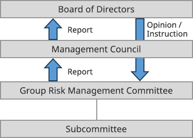 Group Risk Management Structure