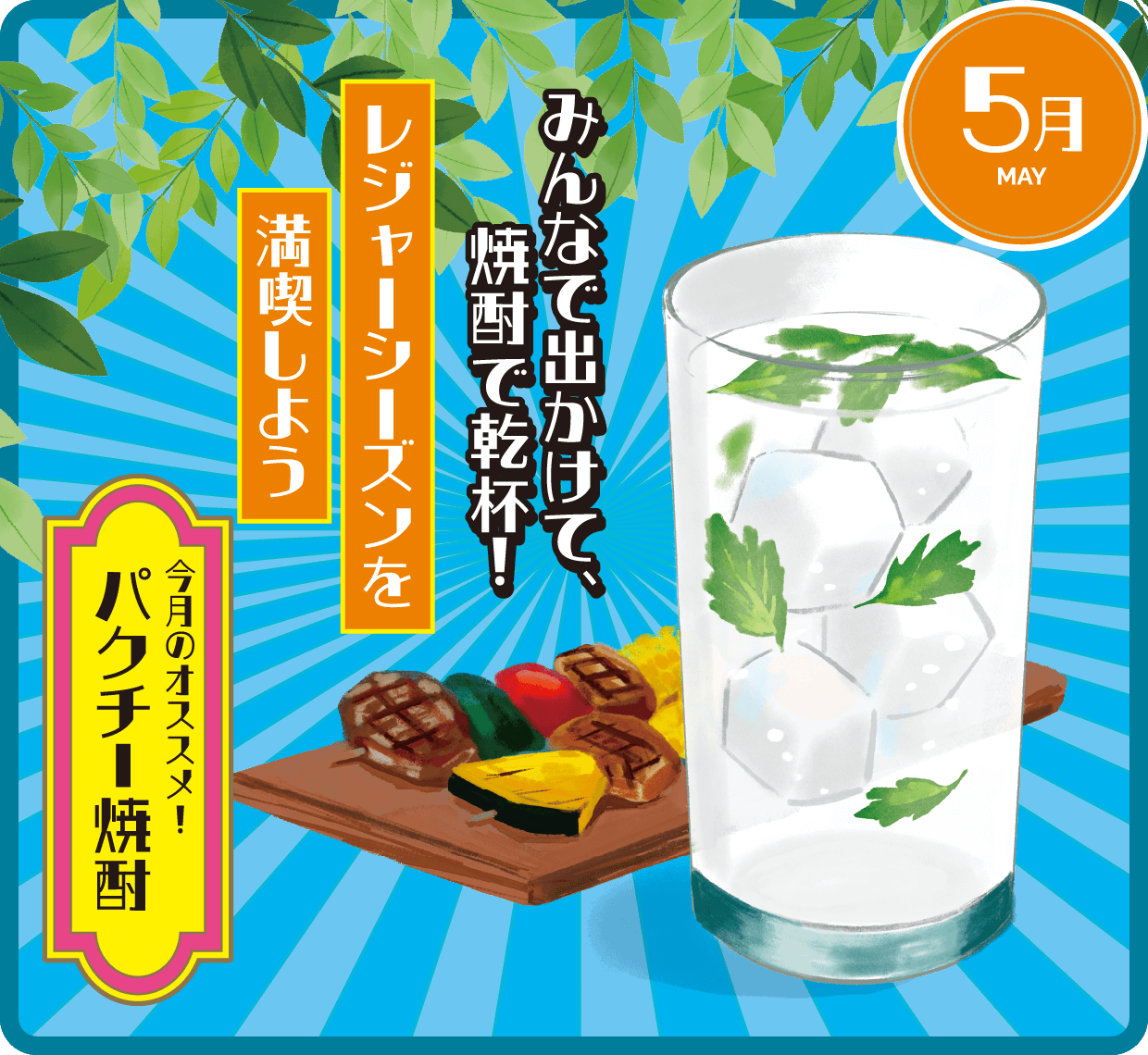 5月 パクチー焼酎