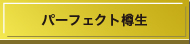パーフェクト樽生