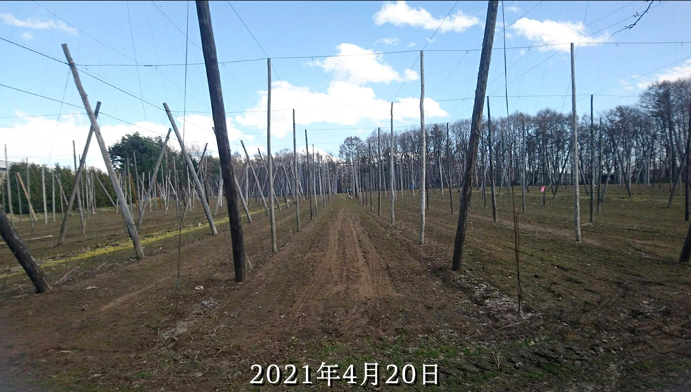 SORACHIACE CALENDER 2021.04.20-05.19