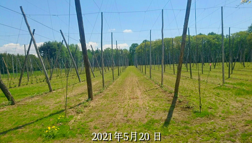 SORACHIACE CALENDER 2021.05.20-06.19