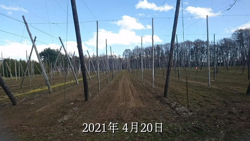 SORACHIACE CALENDER 2021.04.20-09.03