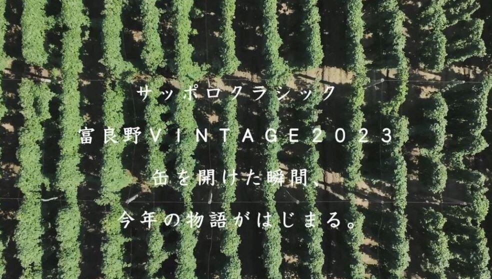 サッポロ　クラシック富良野VINTAGE2023、今年の物語