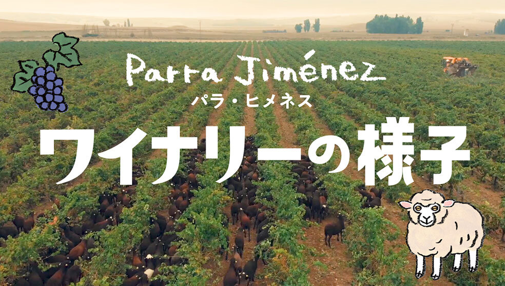 パラ・ヒメネス　ドネーション（寄付）企画