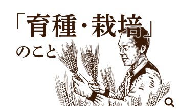 「育種・栽培」のこと