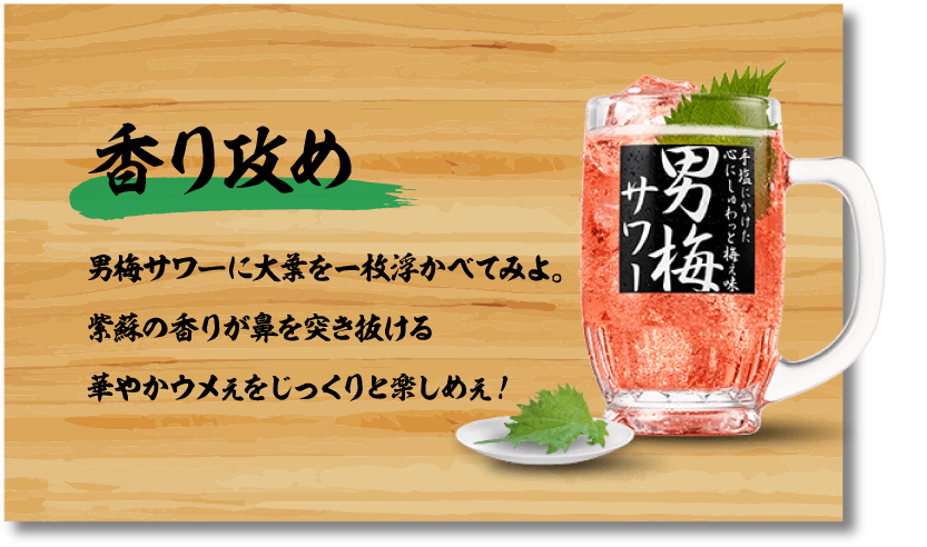 追いレモン