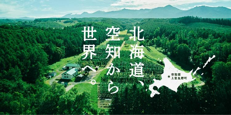 伝説のホップ 「ソラチエース」とは