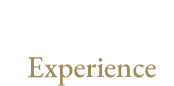 体験する Experience