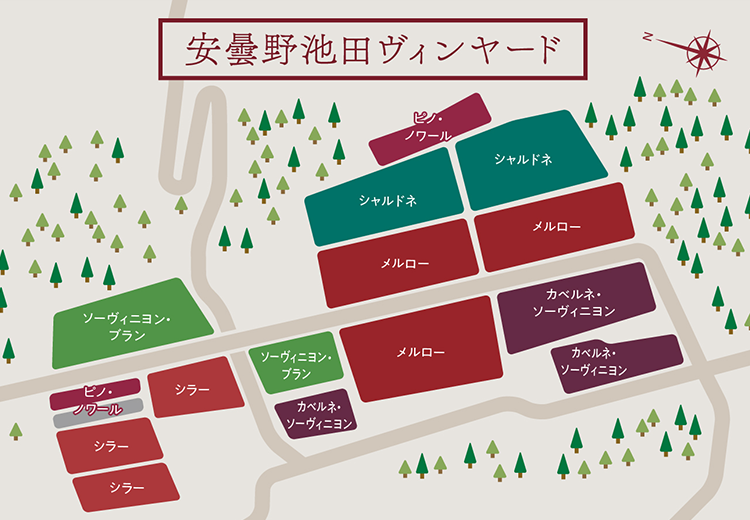 安曇野池田ヴィンヤード