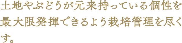 広い視野を持ちつつ ぶどうの個性を細かく理解する。