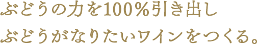 ぶどうの力を100％引き出しぶどうがなりたいワインをつくる。